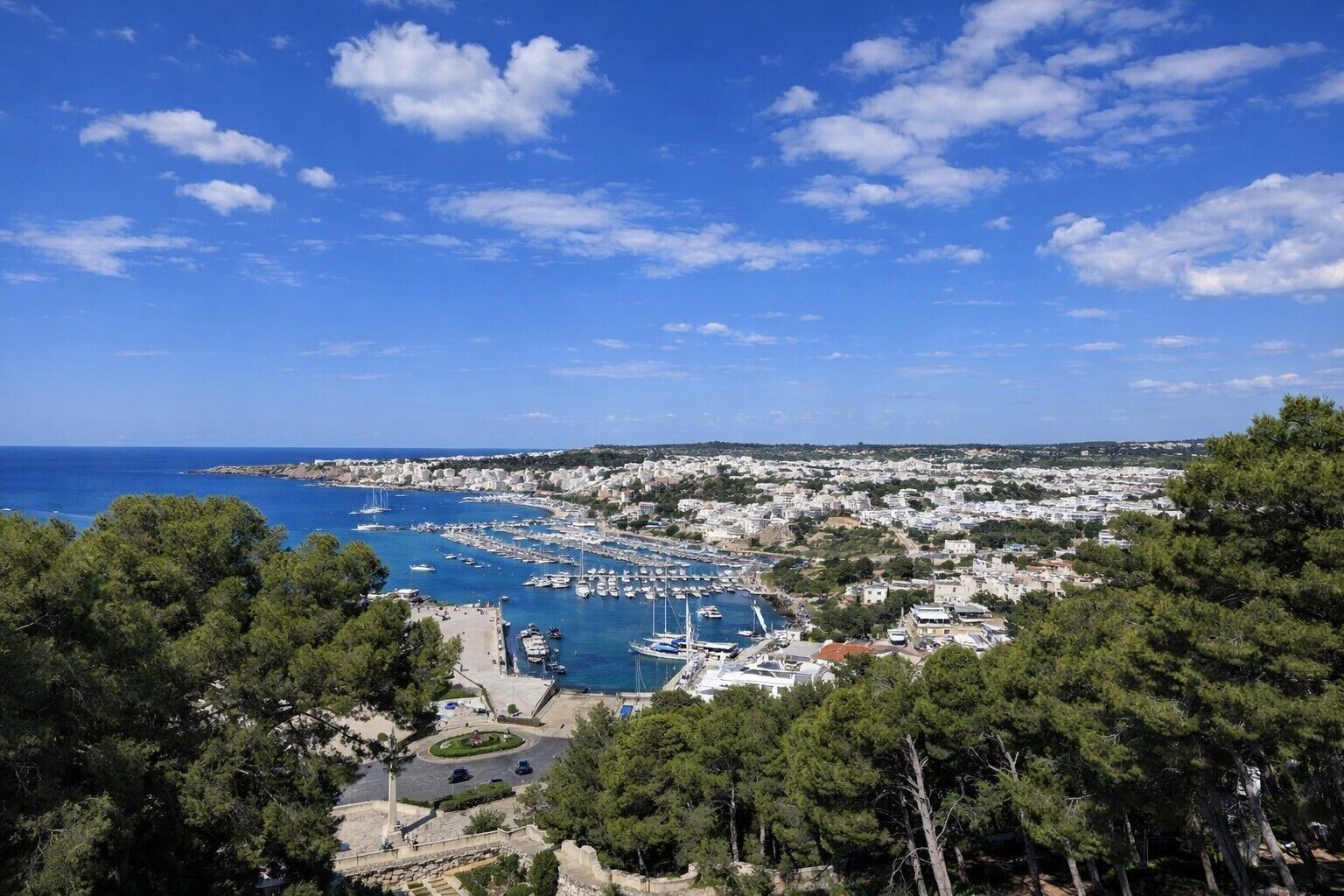 A coastal town with a marina, buildings, and dense greenery.