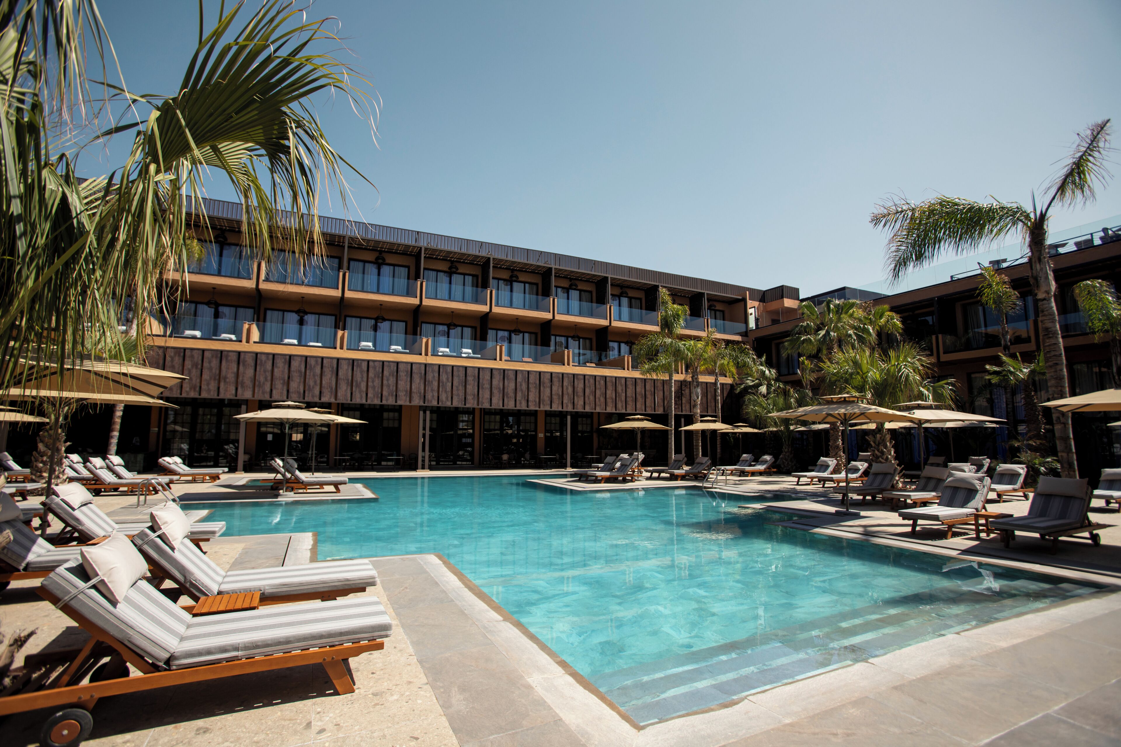 A pool area with lounge chairs and umbrellas, a building with multiple balconies, and palm trees.