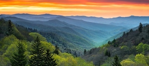 A mountainous landscape with dense forests and a valley. - Mountain Laurel | King Suite for 2 | Wears Valley (Sevierville)