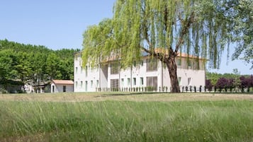 Esterni