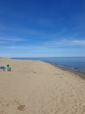 Ein Strand mit blauem Himmel und ruhiger See.