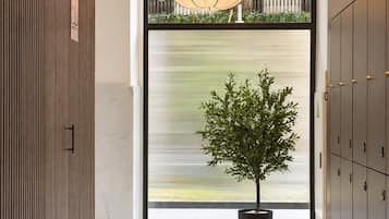 Een hal met een potplant, een groot raam met zonwering en een deur met een bordje.