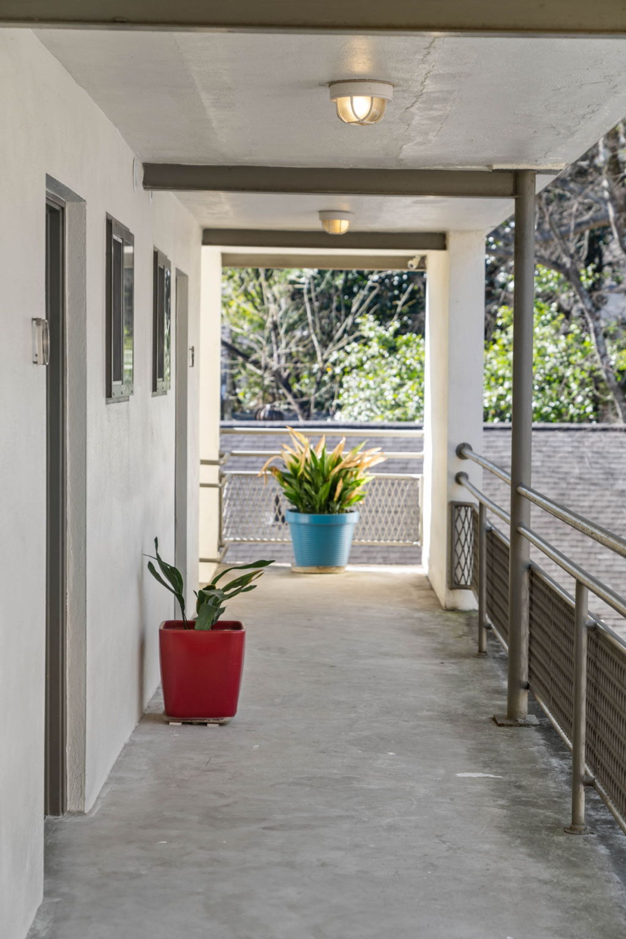 A corridor with a concrete floor, metal railings, and potted plants.
