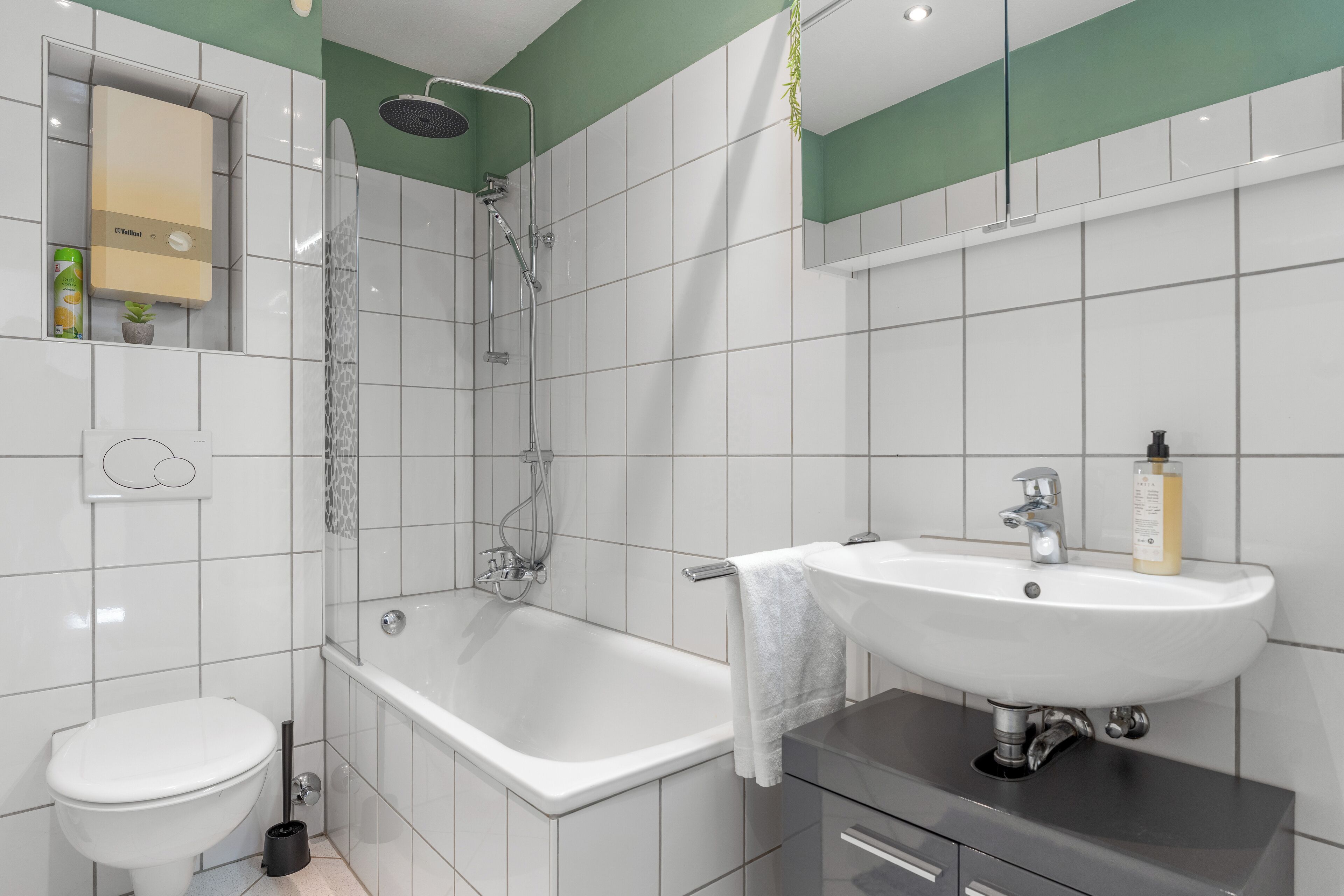 Hair dryer, towels, soap, shampoo