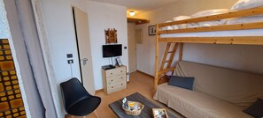 TV, DVD player - Charming little studio with valley view, in the heart of the resort at the foot of the slopes (selonnet)