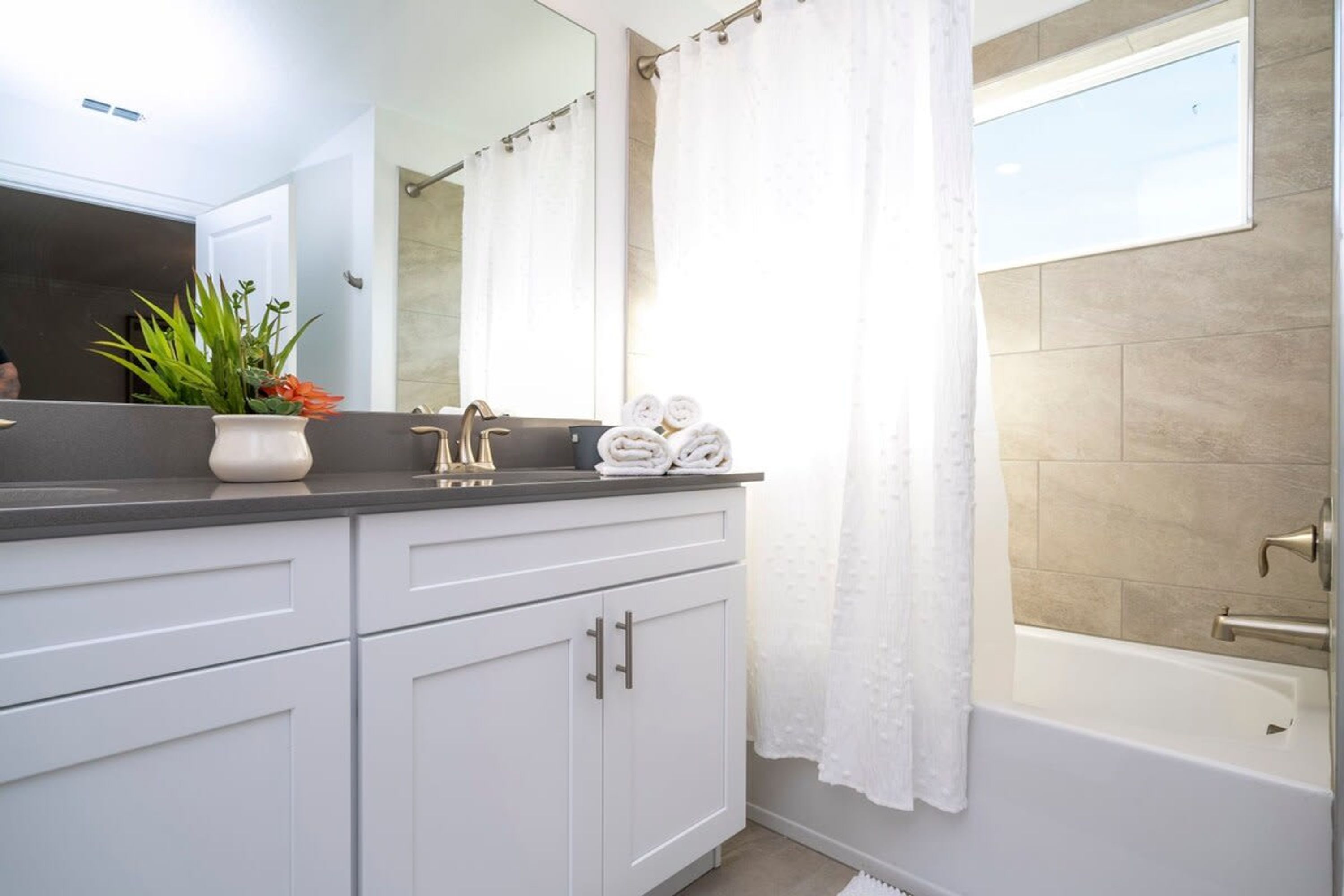 Un baño con bañera, lavamanos con espejo y una planta en maceta.