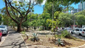 A street lined with parked cars and trees, with buildings in the background. - COBAR0148 - Edifício Beta (Salvador)