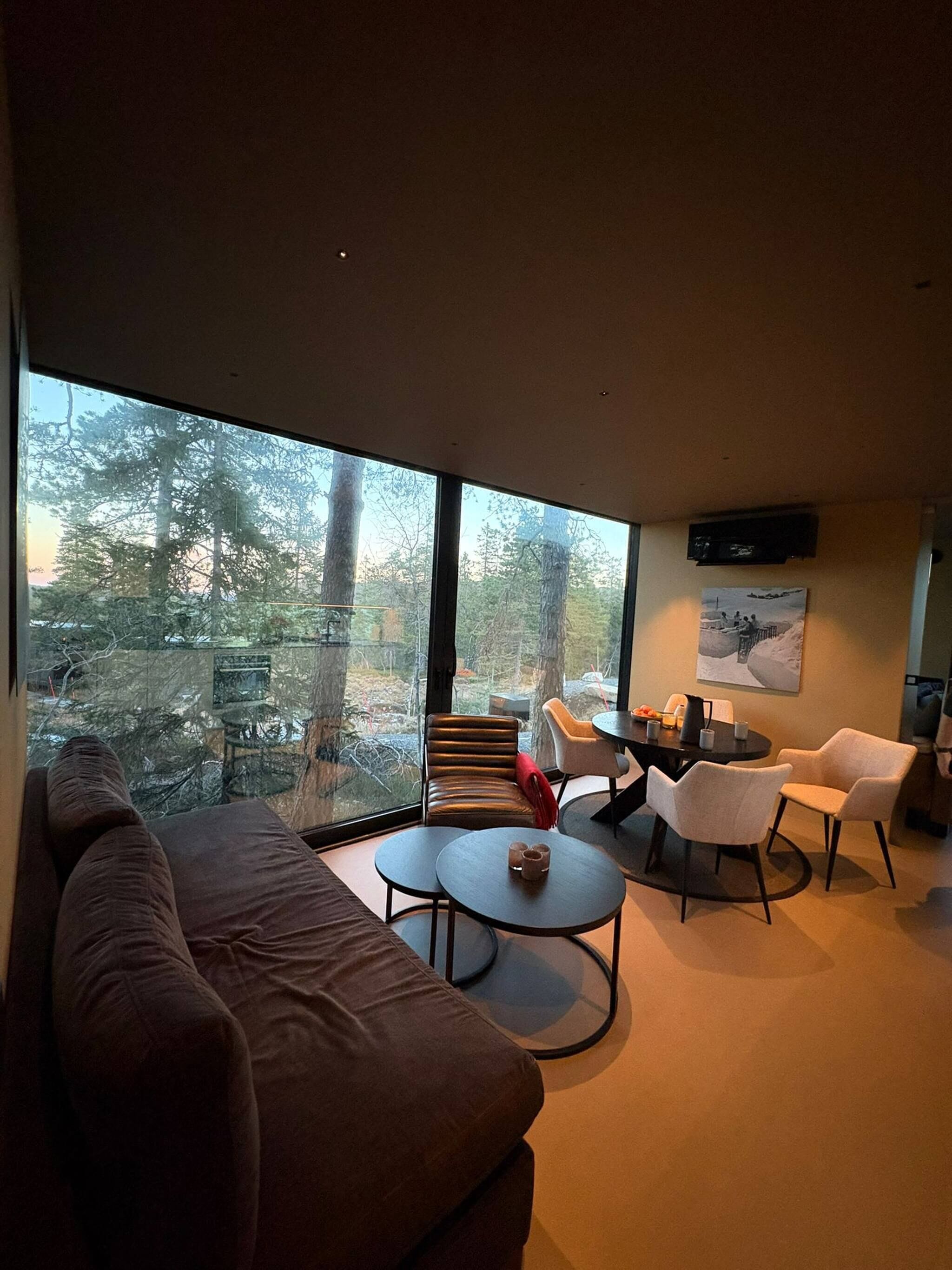 Cabin, 2 Bedrooms, Terrace, Mountain View | Living area