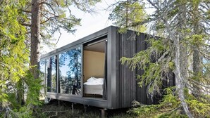 A modern cabin with a glass wall, a bed, and a forested backdrop. - Unique, Modern Cabin at Blefjell (Flesberg)