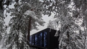 A cabin surrounded by snow-covered trees. - Unique, Modern Cabin at Blefjell (Flesberg)