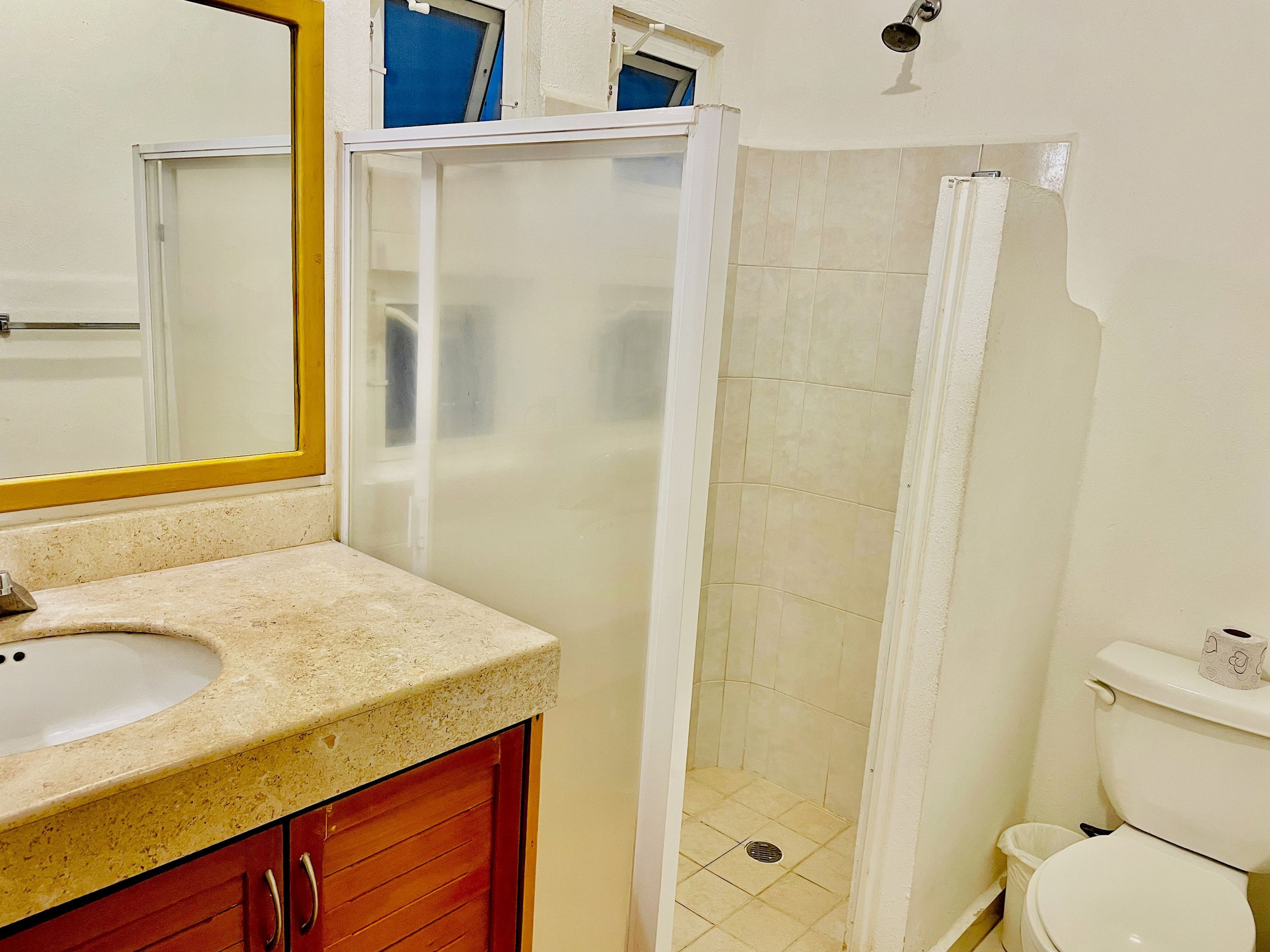 A bathroom with a sink, mirror, shower, and toilet.