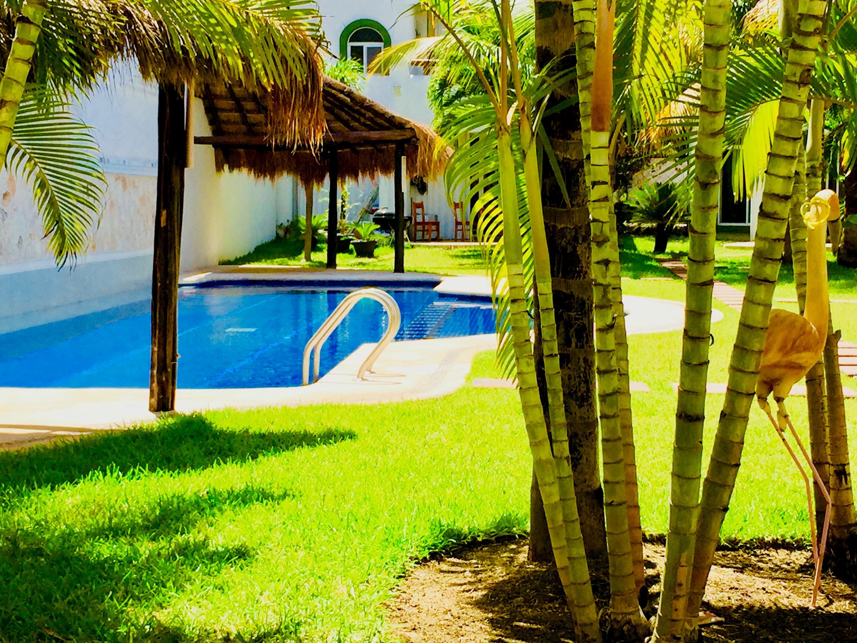 A swimming pool with a thatched roof structure, surrounded by palm trees and grass.