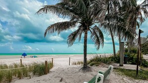 Een strand met een bankje, palmbomen en een heldere lucht.