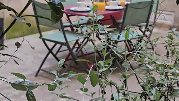 A patio with a table and chairs, a window, and a plant in the foreground.