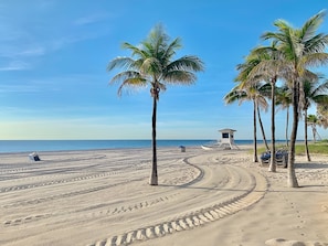 Uma praia com palmeiras, uma torre salva-vidas e um caminho de areia.