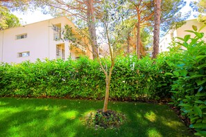 A well-maintained garden with a young tree, neatly trimmed hedges, and a building with multiple windows in the background. - SanPietro Vacation Apartment 045 (Plazhi San Pietro)