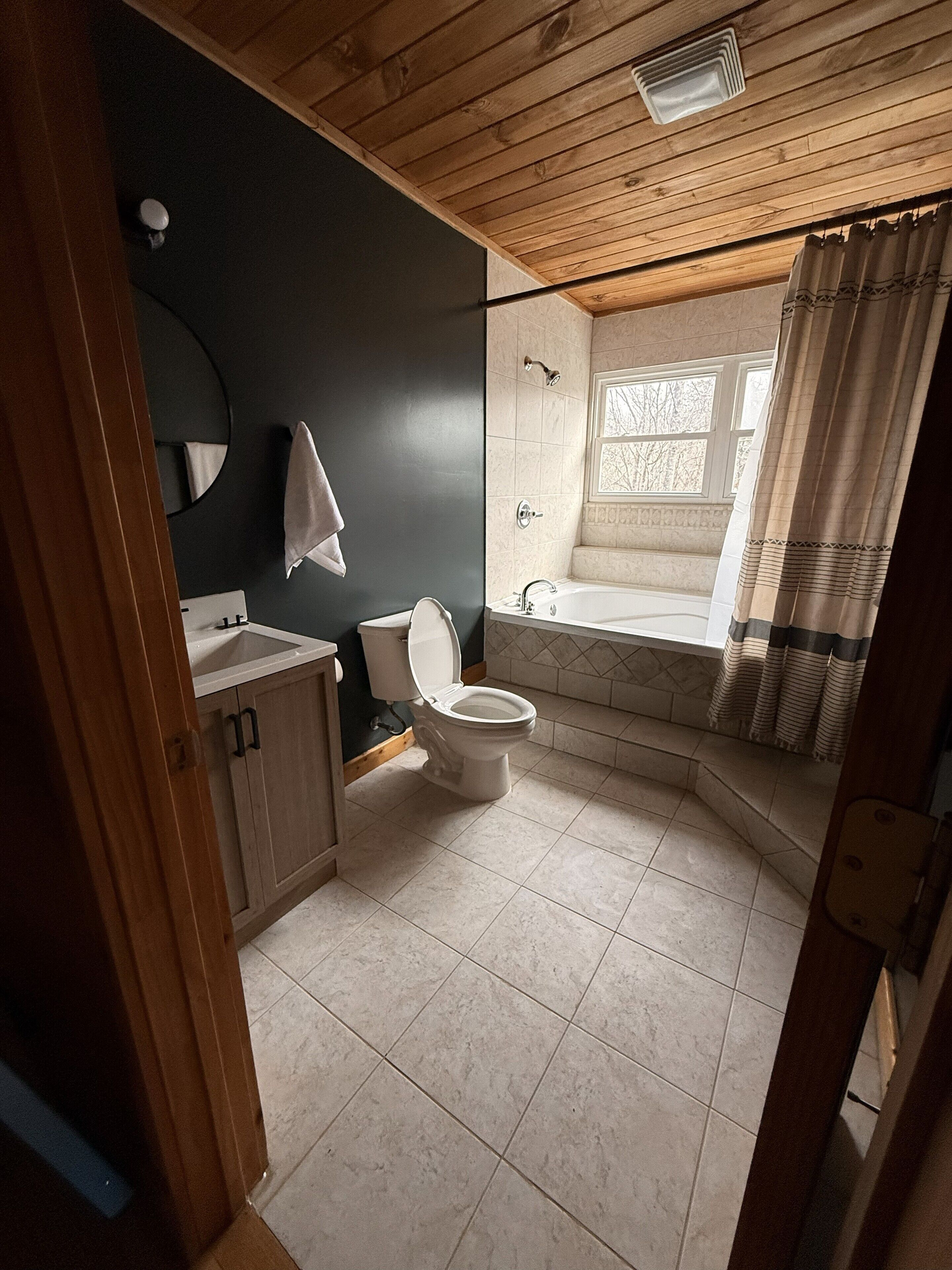 Jetted tub, hair dryer, towels, toilet paper
