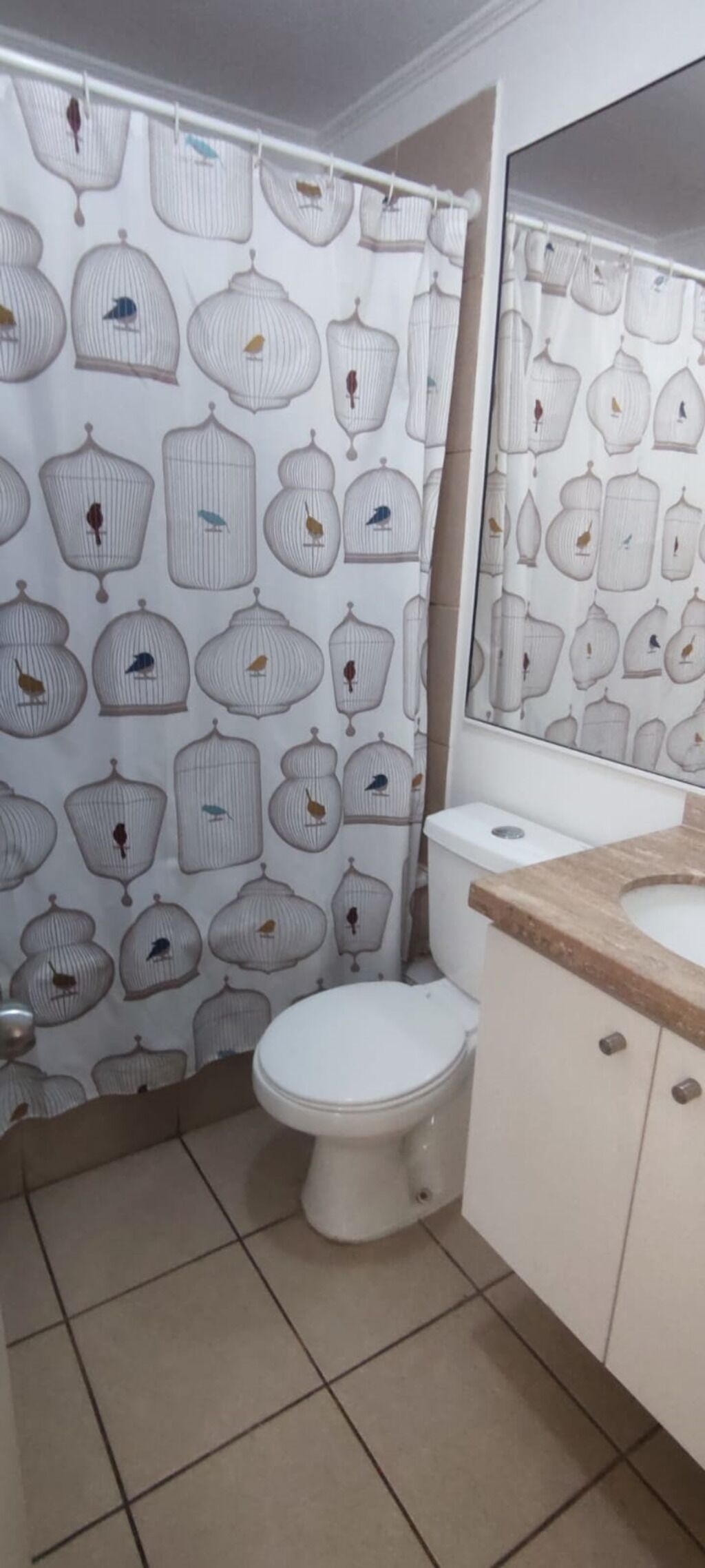Baño con inodoro, lavamanos y espejo. Las paredes tienen un diseño con estampado de jaula de pájaros.
