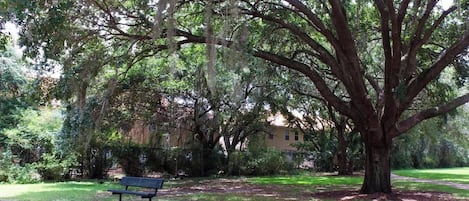 المنطقة المحيطة بالمنشأة