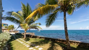 A coastal view with palm trees, a stone pathway, and a body of water. - Teal Horizon~OceanfrontCaribbean Escape~Tower Isle (Tower Isle)