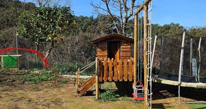 Rural House Parajes del Chanza