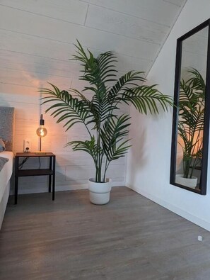 Ein Zimmer mit Holzboden, weißer Wand, einer großen Topfpflanze, einem kleinen Tisch mit Lampe und einem Spiegel an der Wand.