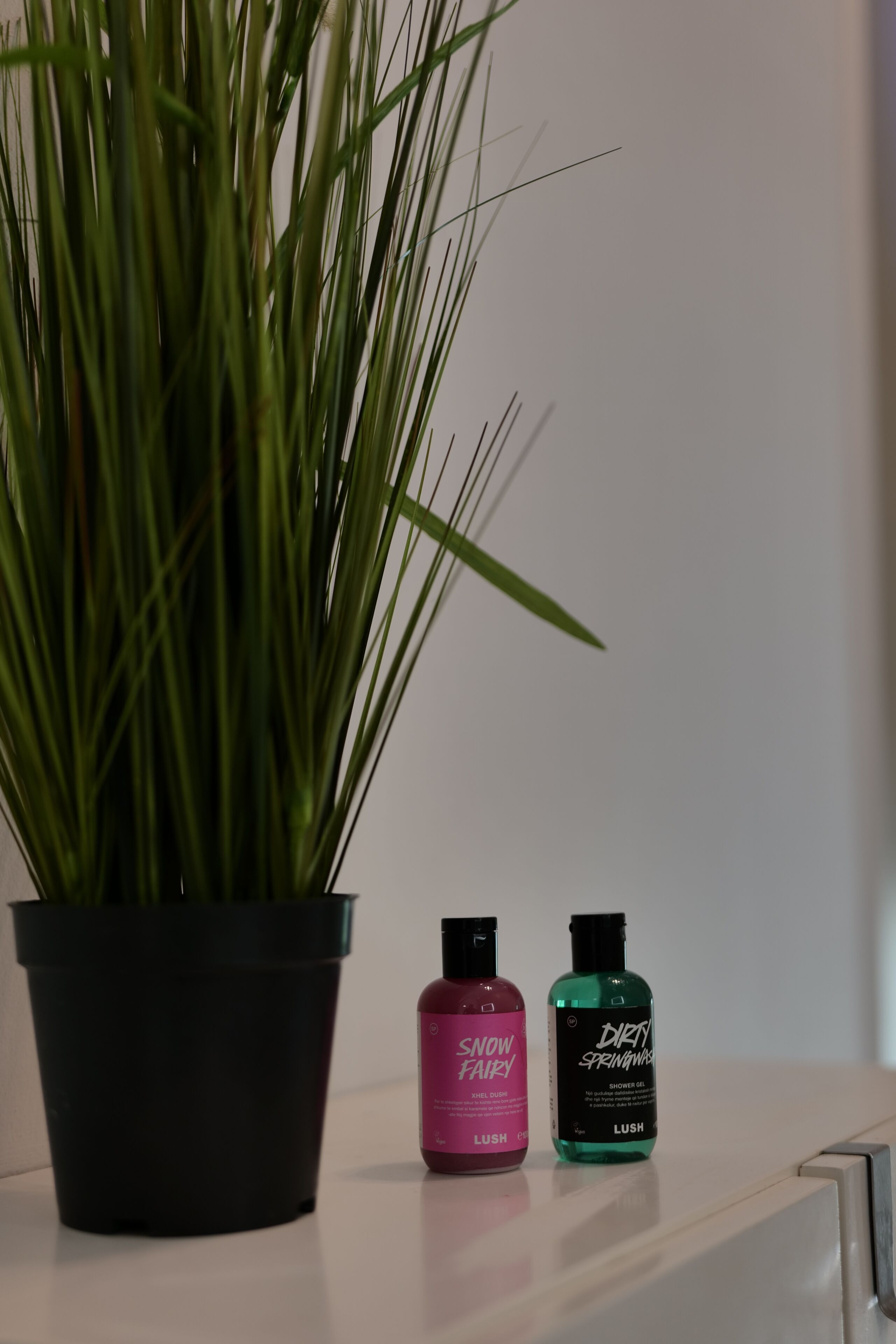Een potplant, een roze flesje met de tekst 'Snow Fairy' en een groen flesje met de tekst 'Dirty Springwater' op een witte ondergrond.