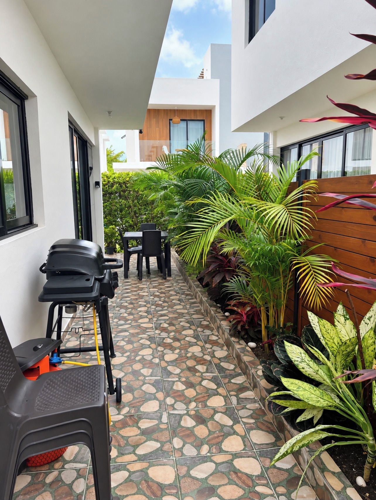 Patio/Tropical Garden