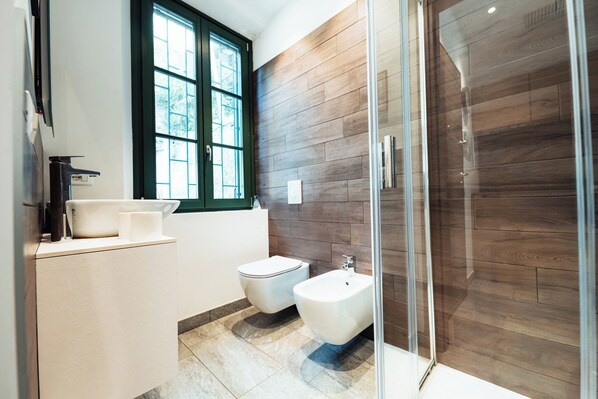 Shower, hair dryer, bidet, towels