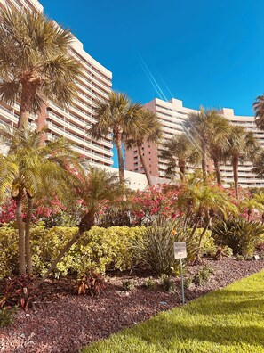 Property grounds - 2-bedroom beach condo, water views in beautiful Sand Key, 4 mins to Clearwater (Clearwater)