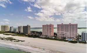 On the beach, sun-loungers, beach towels - 2-bedroom beach condo, water views in beautiful Sand Key, 4 mins to Clearwater (Clearwater)
