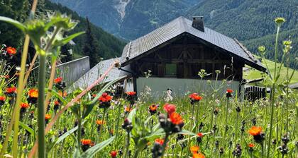 Gemütliches Engadinerhaus mit einmaliger Aussicht!