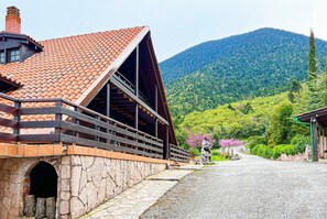 Property grounds - Aselinos Forest Estate – Quiet Mountain & Sea View Retreat near Delphi (Delphi)