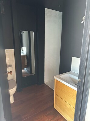 A bathroom with a toilet, a mirror, a sink, and a shower. - House in a quiet neighborhood (Salles)