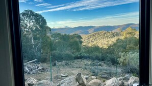Une vue à travers une fenêtre sur un paysage naturel, avec des arbres, des rochers et des collines.