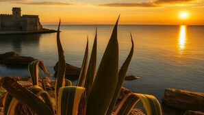A coastal sunset view with a fortified structure and agave plants in the foreground. - Appatamenti ABR Corso - Apartment with View and Balcony (Le Castella)