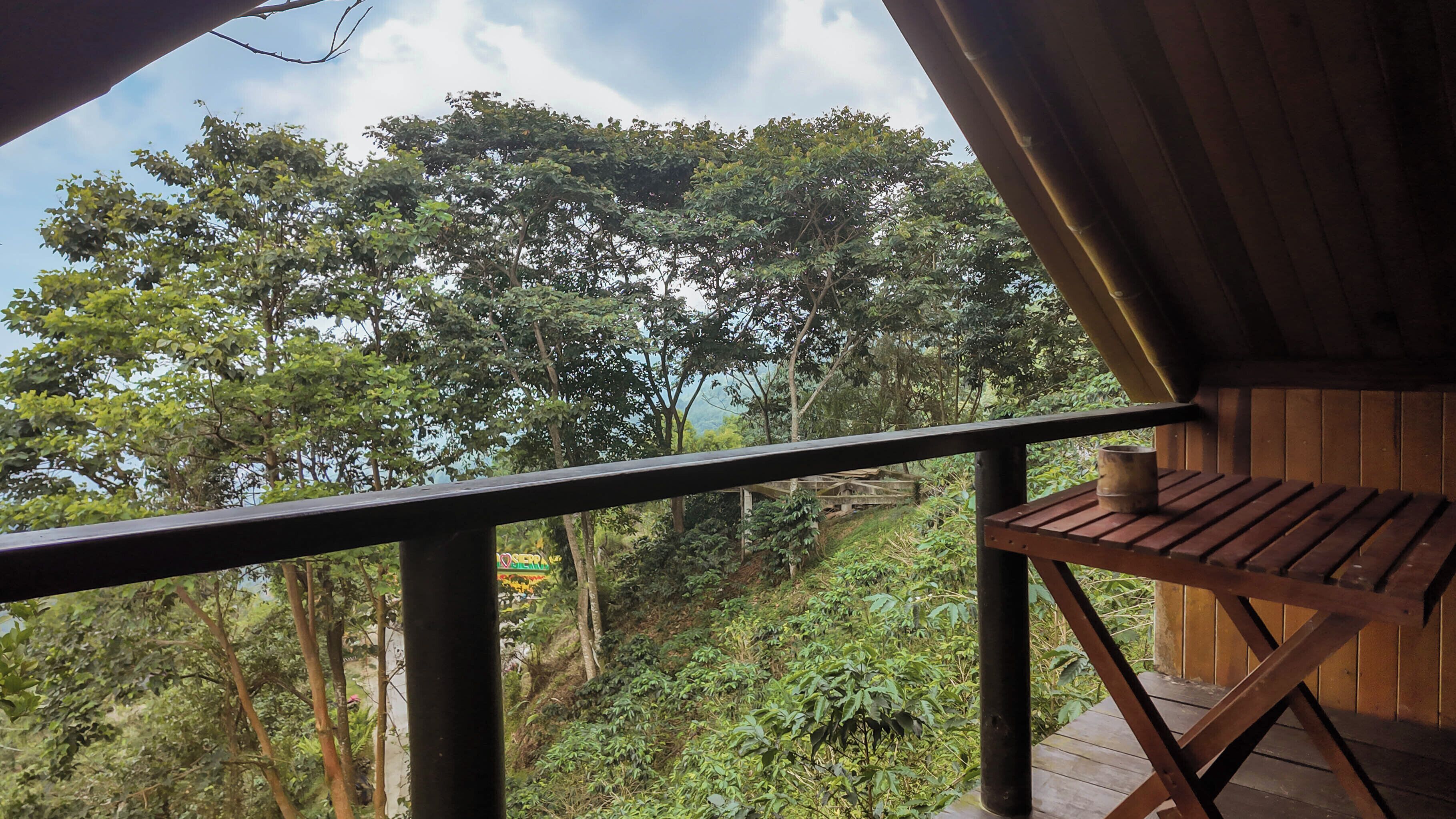 A wooden deck with a view of dense forest and a distant mountain range.