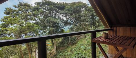 A wooden deck with a view of dense forest and a distant mountain range.