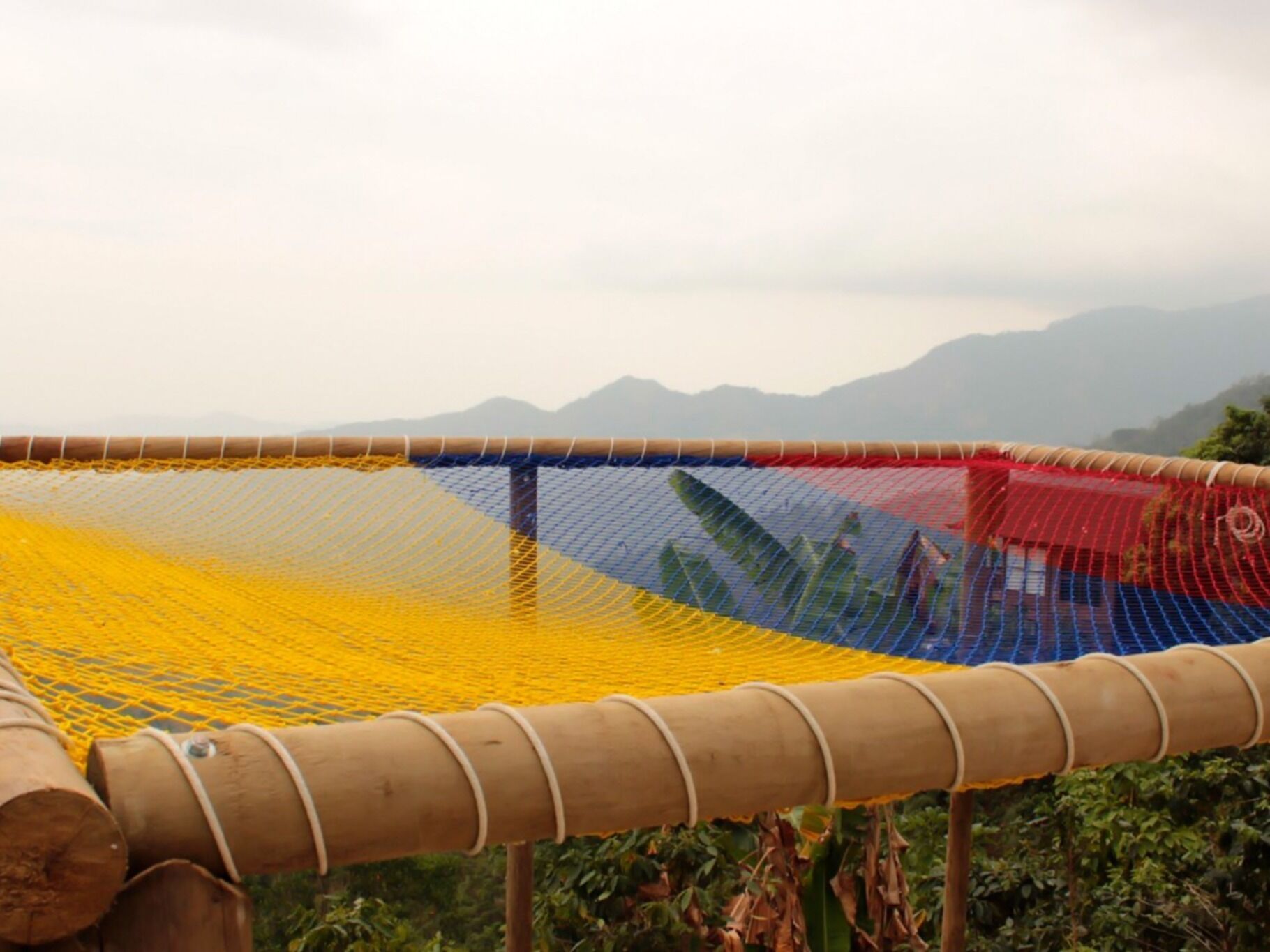 Standard Shared Dormitory