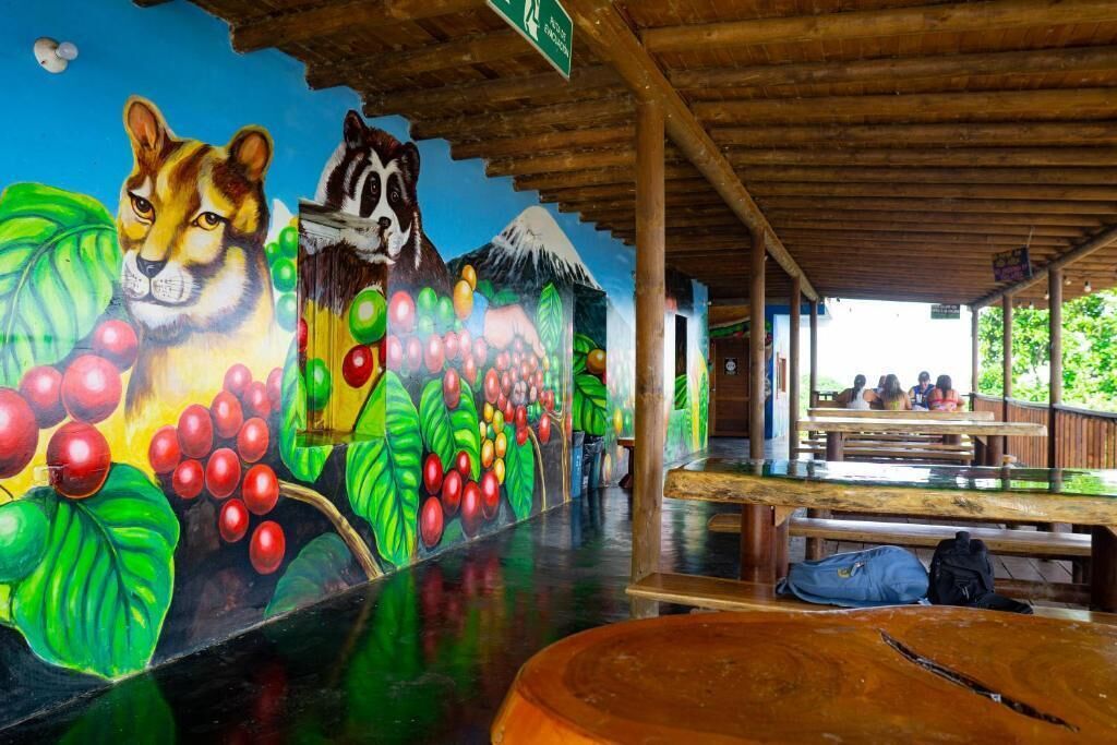 A covered outdoor area with a mural of animals and fruit, wooden benches, and a clear view of the surrounding greenery.