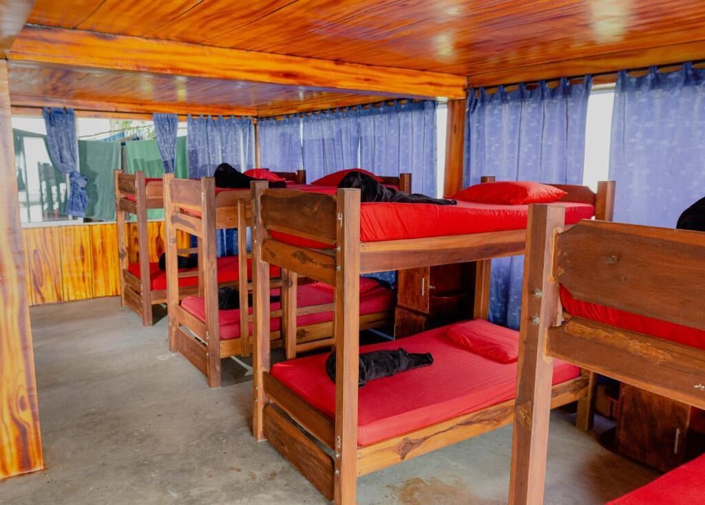 Une cabine avec des lits superposés, des murs en bois et des rideaux.