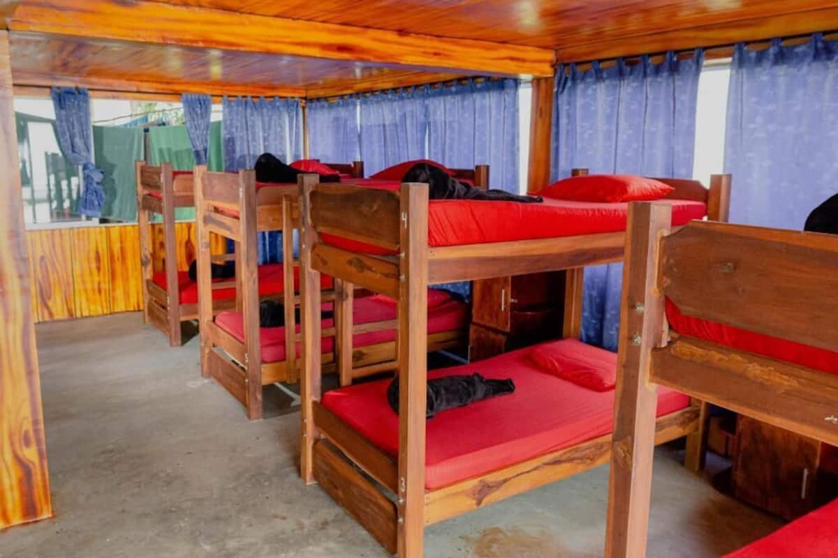 A cabin with bunk beds, wooden walls, and curtains.