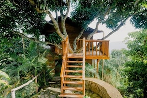Shared Dormitory, Mountain View