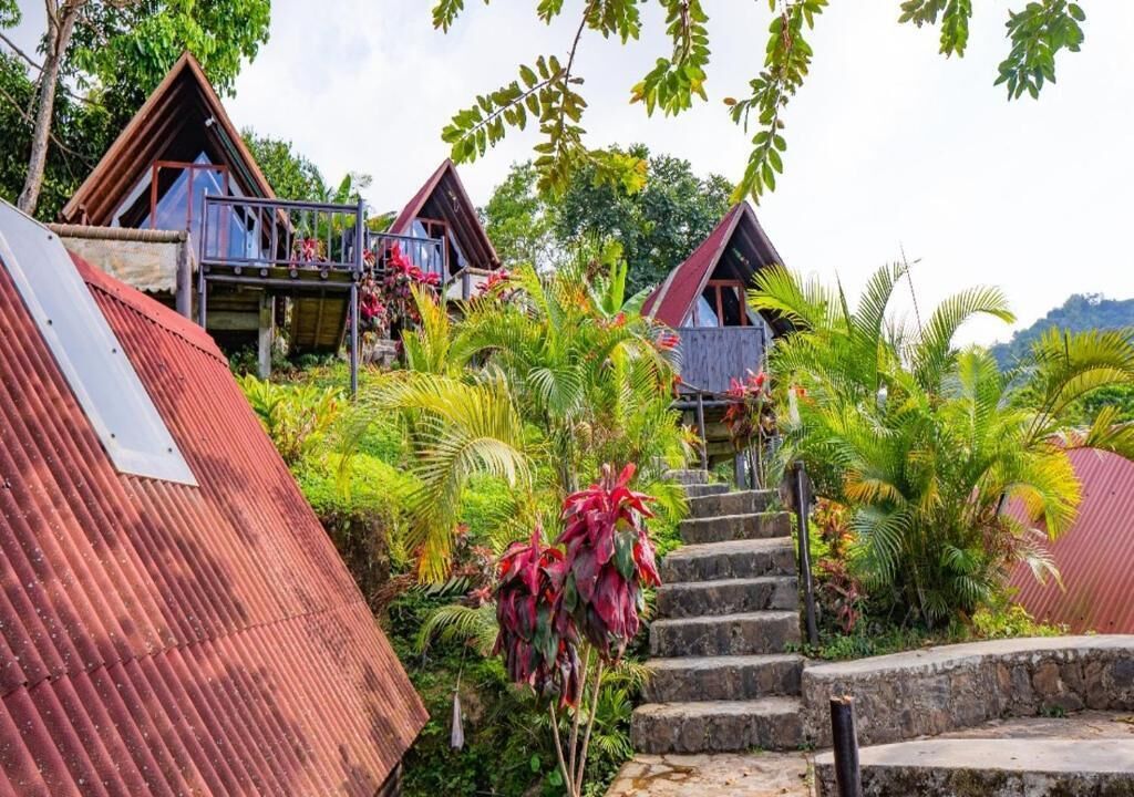 A rustic wooden structure with a staircase leading to a balcony, surrounded by lush greenery.