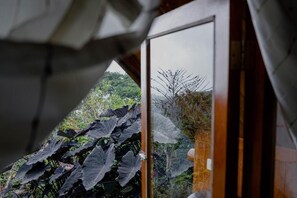 Une vue à travers une fenêtre, avec de grandes feuilles et un paysage naturel.