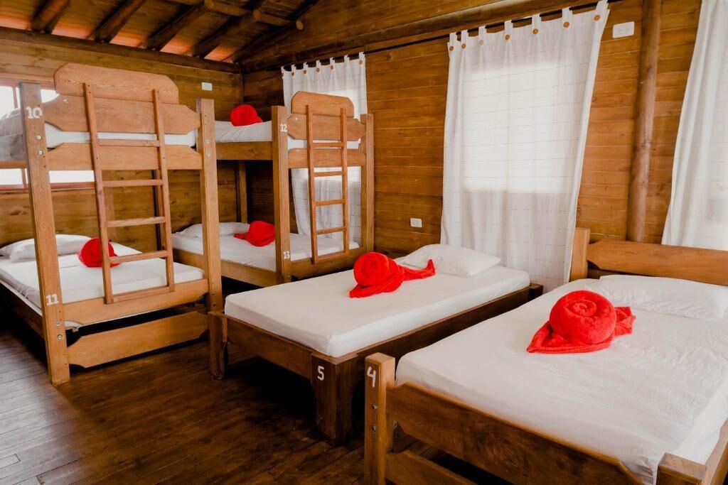 Standard Shared Dormitory