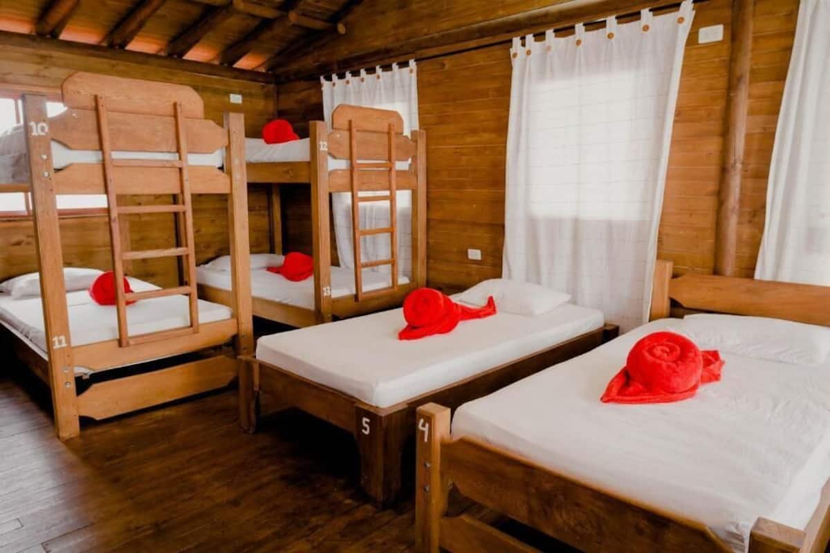 스탠다드 공용 도미토리