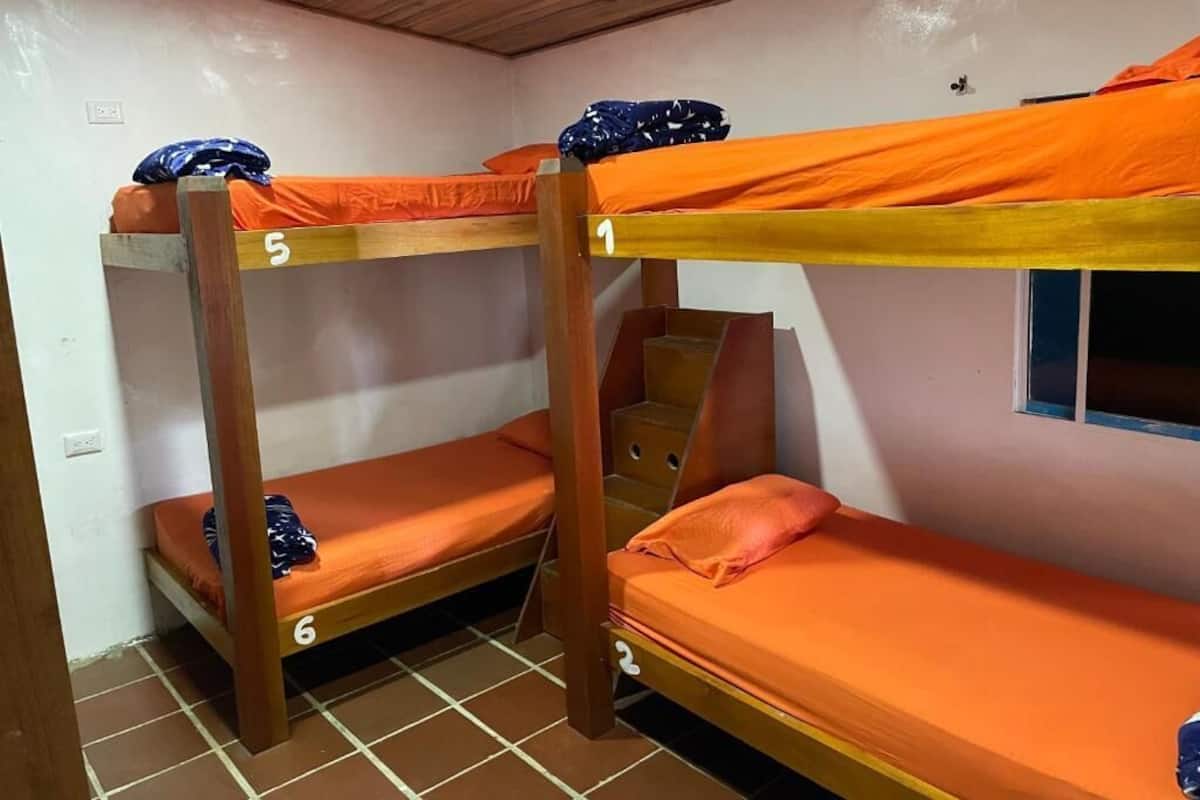 Two bunk beds with orange bedding, wooden frames, and numbered beds.
