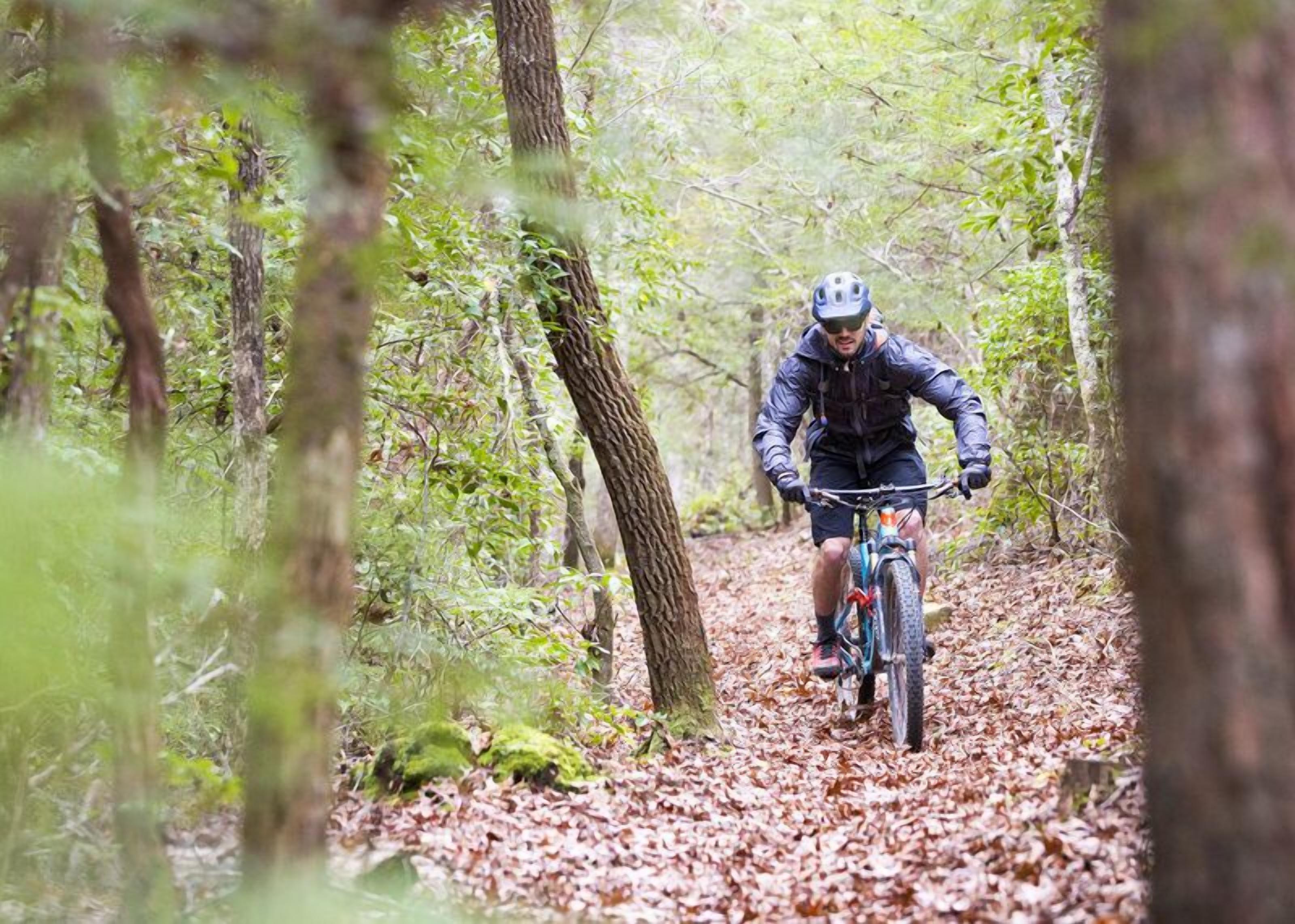 En person som cyklar på en mountainbike genom ett skogsområde med träd och löv på marken.