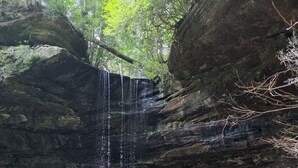 Una cascata che si getta in una vasca circondata da pareti rocciose e vegetazione.